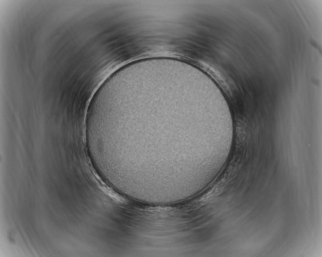 X0000098001236200804141159