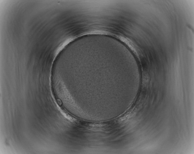 X0000098001237200804141159