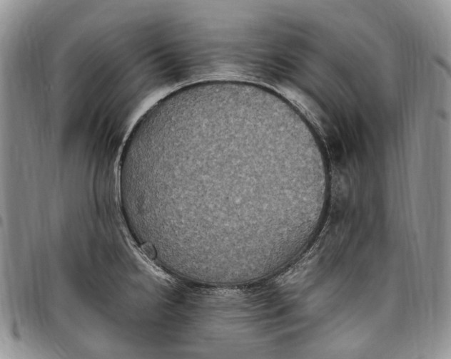 X0000098001238200804141159