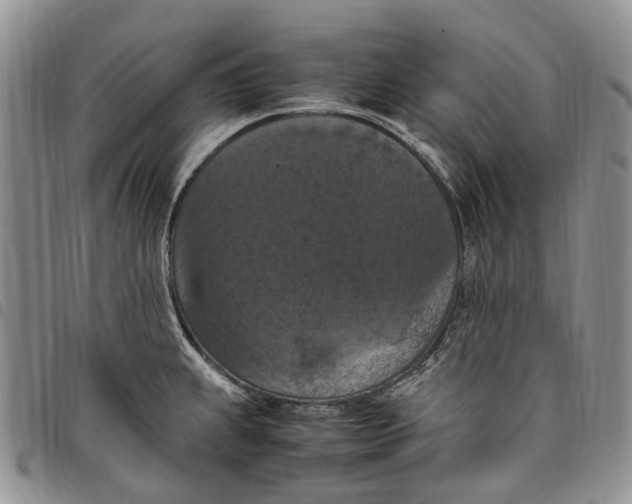 X0000098001239200804141159