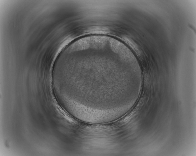 X0000098001240200804141159