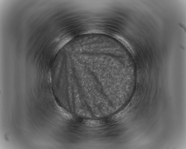 X0000098001241200804141159