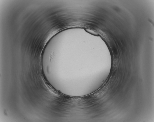 X0000098001242200804141159