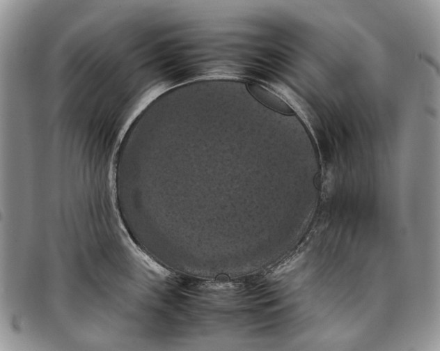X0000098001243200804141159