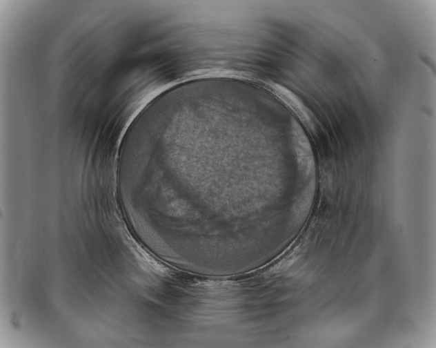 X0000098001244200804141159
