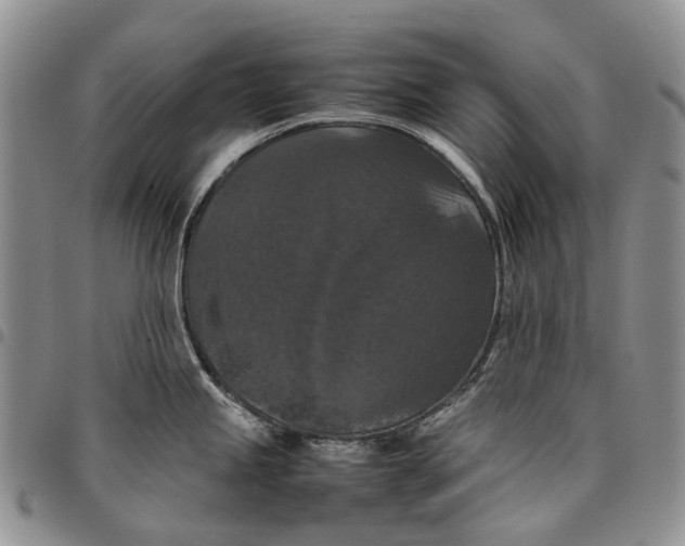 X0000098001245200804141159