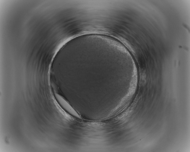 X0000098001246200804141159