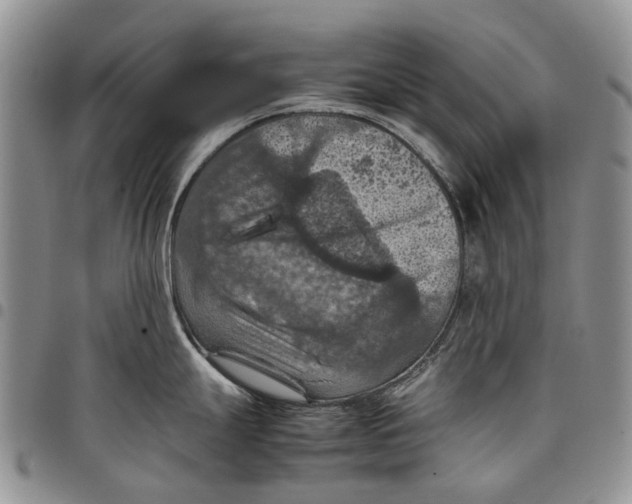 X0000098001247200804141159