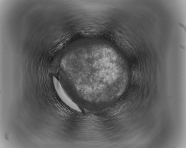 X0000098001250200804141158