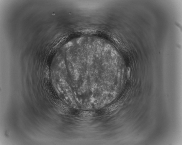 X0000098001251200804141158