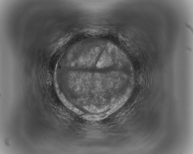 X0000098001253200804141158
