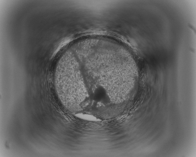 X0000098001255200804141158