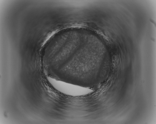 X0000098001256200804141158