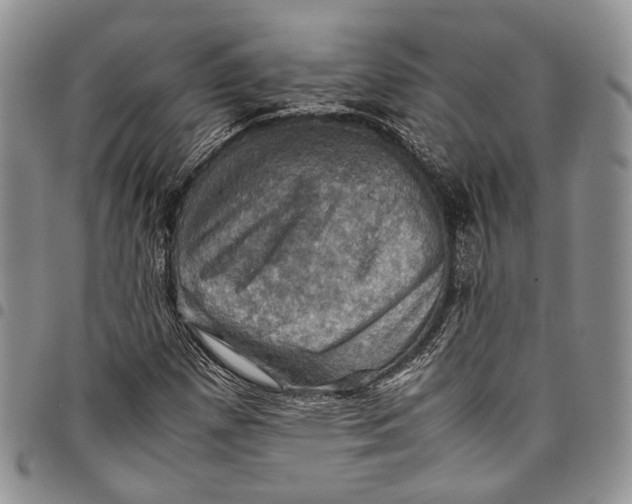X0000098001257200804141158