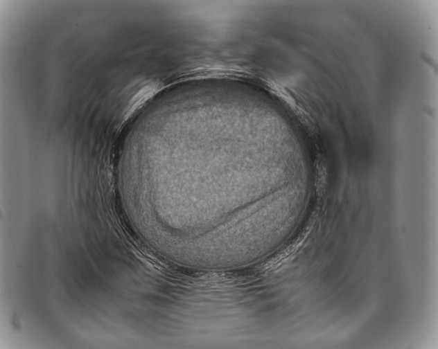 X0000098001259200804141158