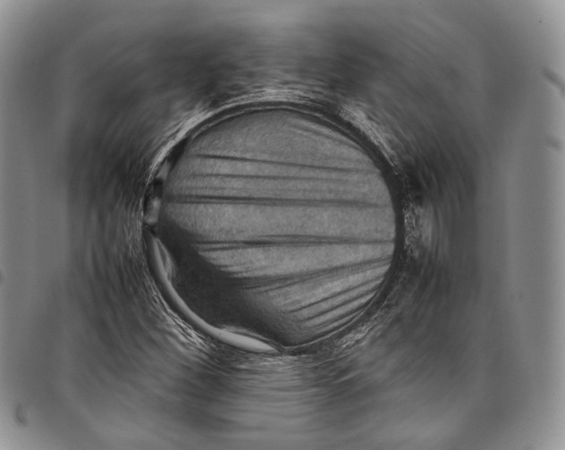 X0000098001260200804141158