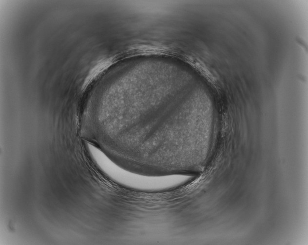 X0000098001261200804141158