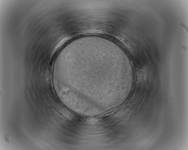 X0000098001266200804141158