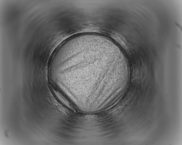 X0000098001268200804141158