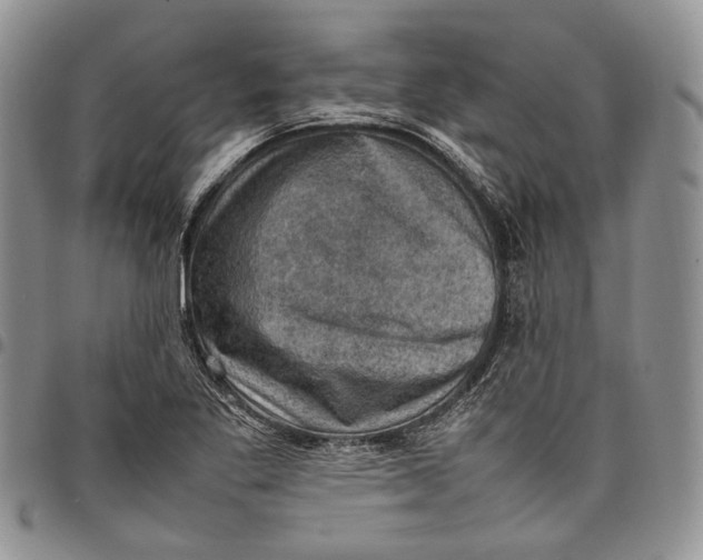 X0000098001269200804141158