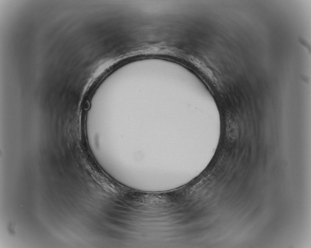 X0000098001270200804141158