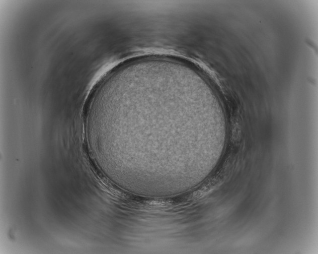 X0000098001271200804141158