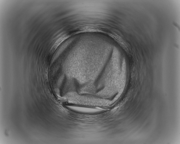 X0000098001273200804141158