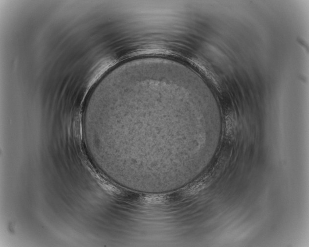 X0000098001274200804141158