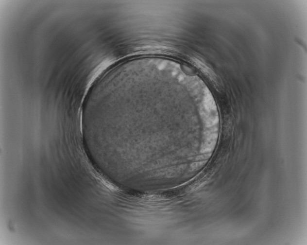X0000098001275200804141158