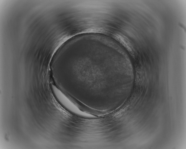 X0000098001276200804141158