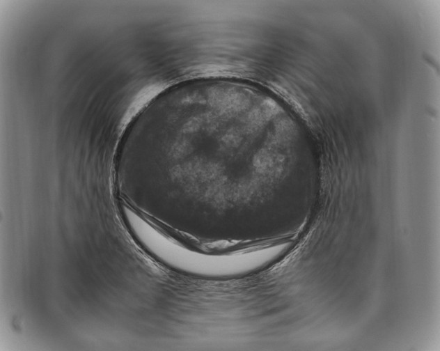 X0000098001277200804141157