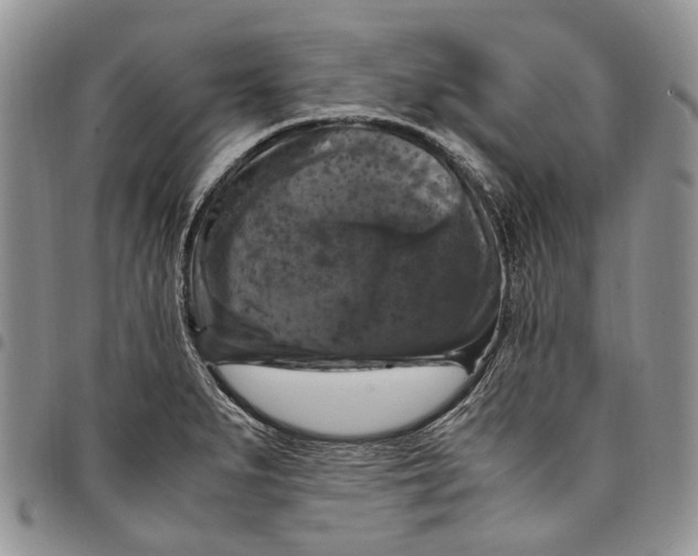 X0000098001279200804141157