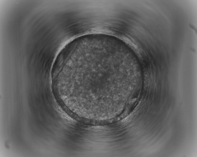 X0000098001280200804141157