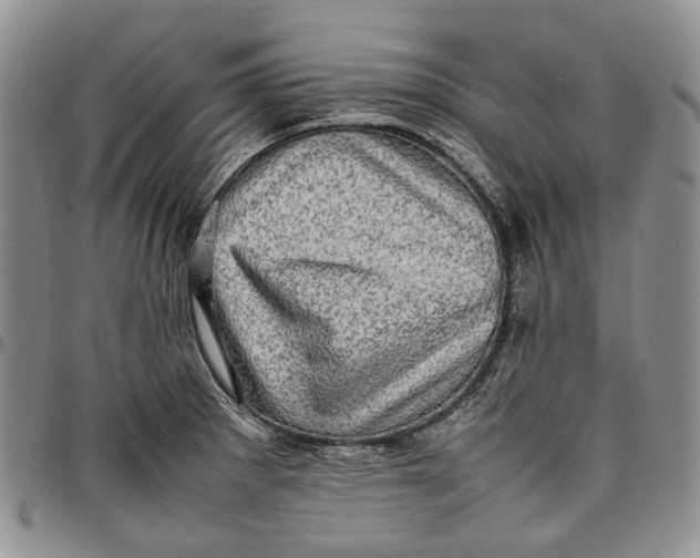 X0000098001281200804141157