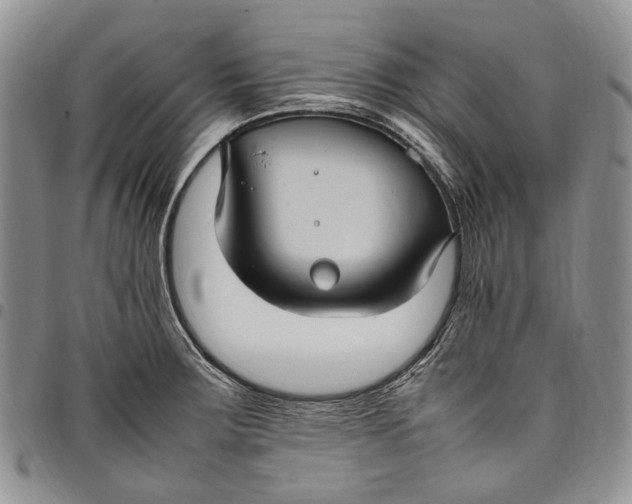 X0000098001283200804141157