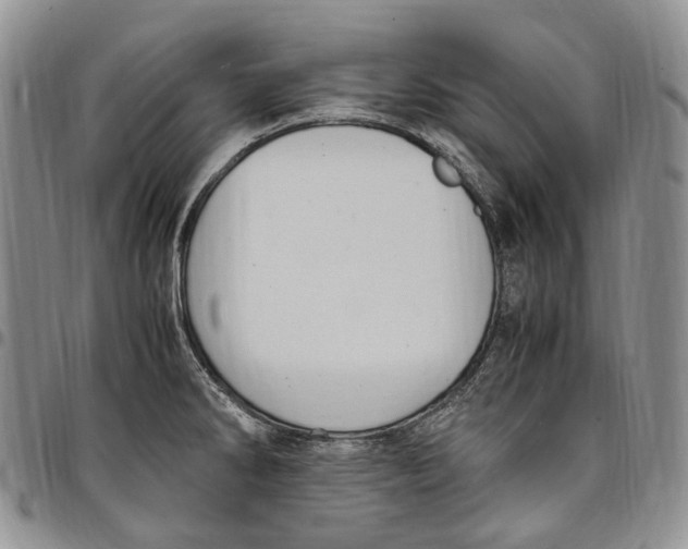 X0000098001286200804141157
