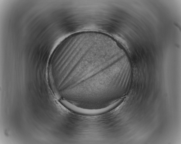 X0000098001288200804141157