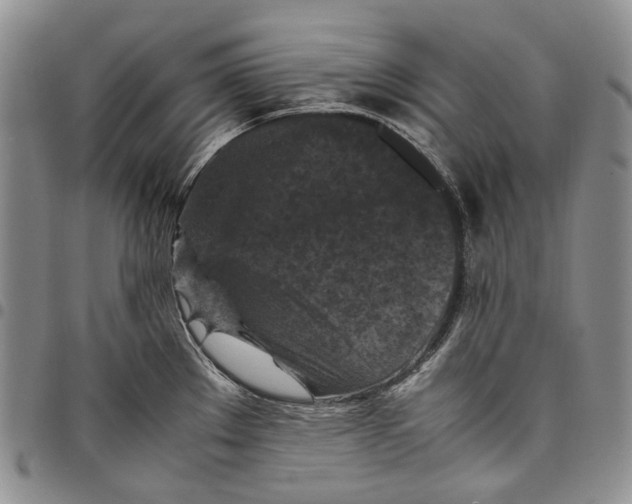 X0000098001289200804141157