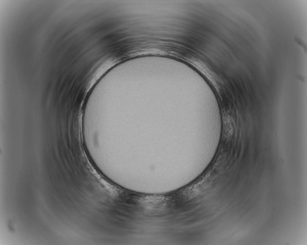 X0000098001290200804141157