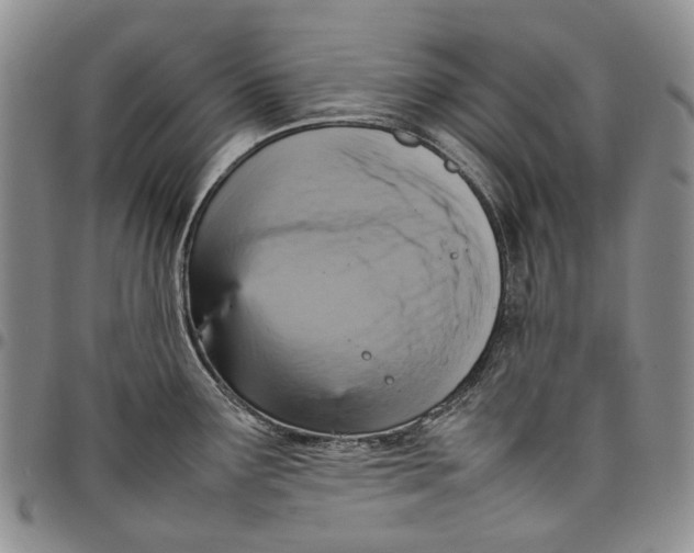 X0000098001291200804141157