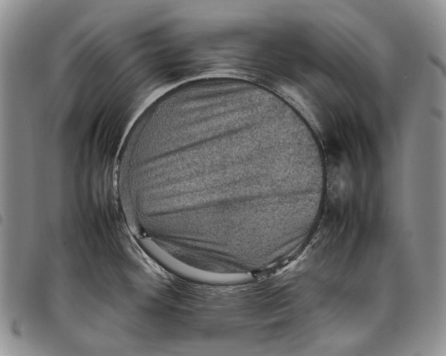 X0000098001292200804141157