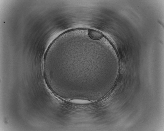 X0000098001295200804141157