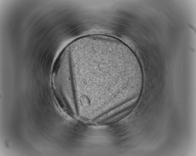 X0000098001296200804141157