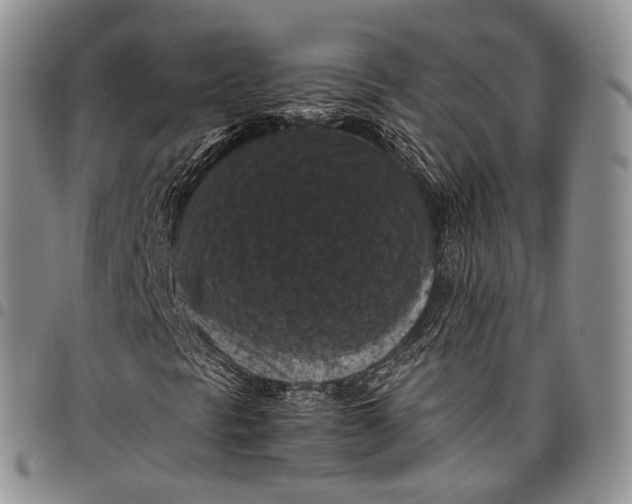 X0000098001297200804141156