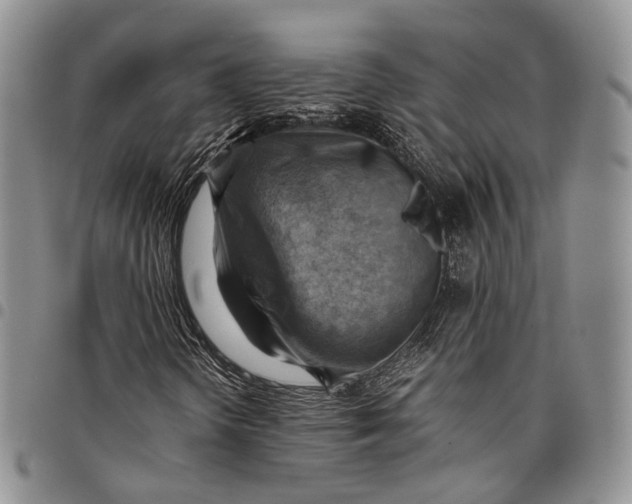 X0000098001298200804141156