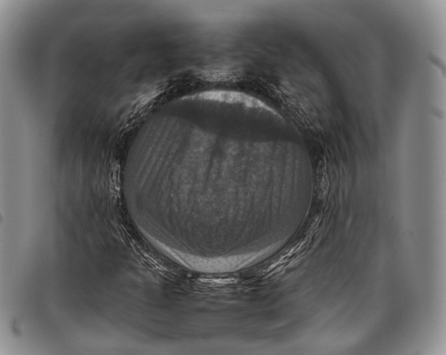 X0000098001301200804141156