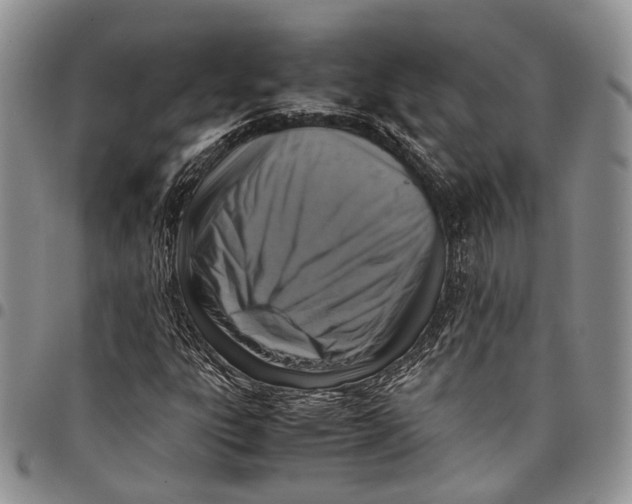 X0000098001303200804141156