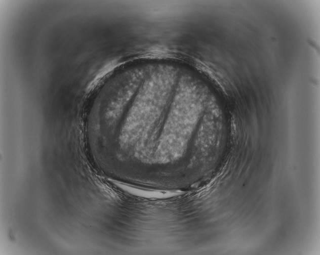 X0000098001304200804141156
