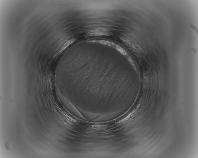X0000098001305200804141157