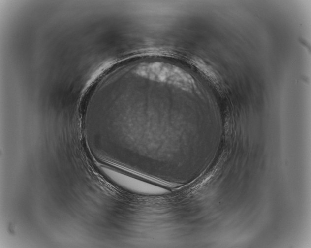 X0000098001310200804141157